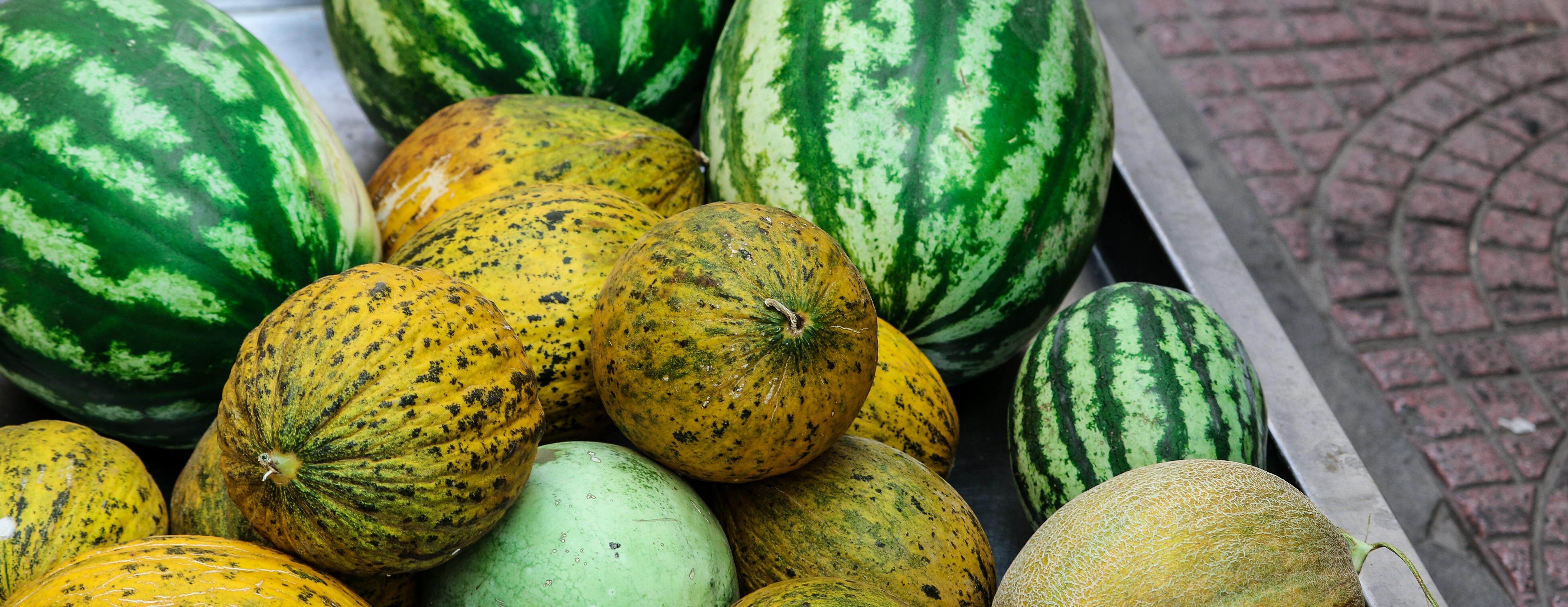 арбуз на бахче. арбузы на рынке. задачки про арбуз. арбузов на 20 больше чем дынь. арбузы дыни протокол химического анализа.