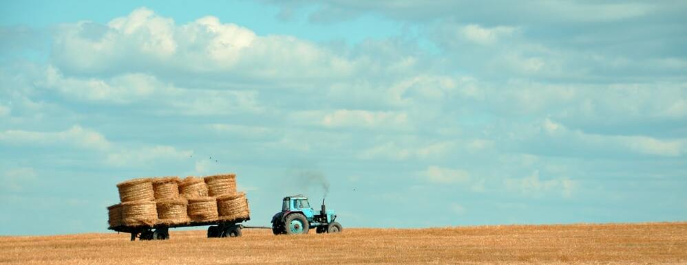 O governo russo alocará cerca de ₽10 mil milhões para empréstimos ao sector agrícola